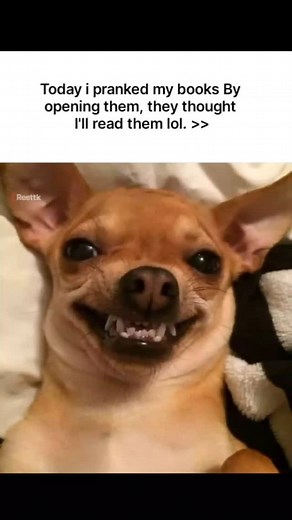 Prank fr . . . . . . #relatable #viral #trending #explorepage #reels #foryou #explore #fyp #instagood #trendingaudio #viralaudio #instagramgrowth #like #fyp | R E E T I K ツ
