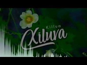 Xiluva - Killua
