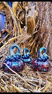 8K views · 311 reactions | The "thing" for us right now is pumpkins...