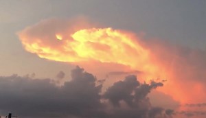4.5K views · 80 reactions | 07/24/18 - Oakwood Georgia  Some of my first footage for Alien Skies taken many years ago… It looked like a massive sky serpent. #alienskies | Alien Skies | Facebook