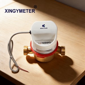 [Hot Item] Advanced Smart Meter with Mbus, RS485, and Pulse Output Technology