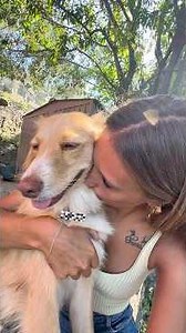 My pets' reaction♥️