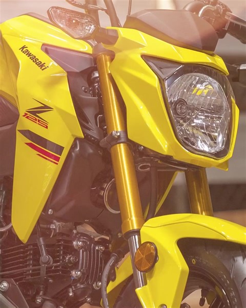 The Kawasaki USA #Z125 PRO proves that big thrills can come in small packages. Stop in today to learn more and get set up for your next ride. #GoodTimes #Kawasaki | ATVs and More, INC. | Facebook