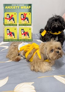 867K views · 9.9K reactions | DIY Anxiety Wrap para hindi ma stress ang furbabies natin sa ingay ng paput0k 梁 | Furmom Kristal Maya | Facebook