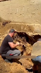 House foundation repair process #fypシ゚viralシ | Dream Decor Co.