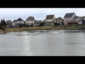 Miss geico rc boat 6s lipo top speed