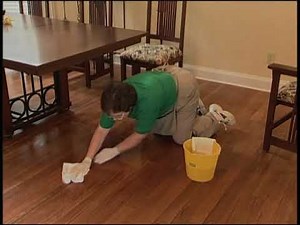 Cleaning 101 Video - Clean House Life Hacks - House Cleaning Secrets House Keeper Video Merry Maids