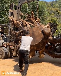 Chinese Wood Carving ART - Wood-satisfied creative processing Wood-satisfied creative processing | Media 4