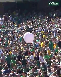 56K views · 271 reactions | Tragic ending  | Sports Knightly Baseball | Facebook