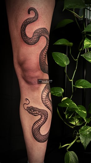 Snake Around the Knee Tattoo Process