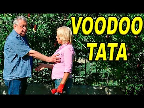 Komedia Polska cały film