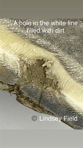 It’s just a little hole…. Yea right. The bottom photo shows the “blemish” on the white line situated about 5 o’clock. I took off material with my grinder to see what it looked like “cleaned up” and if I could just grind it away. Nope. Could not get to the bottom of it. I then took slices medial to lateral, at that area so I could look at it and see how deep it went. It went over 3 cm deep. 🫣 It caused a yellow hard tissue like clumped epidermal lamellae on the inside of the hoof capsule. I bet 