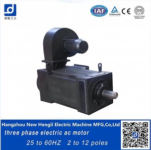 [Hot Item] 55kw 1500rpm Squirrel Cage AC Electrical Motor