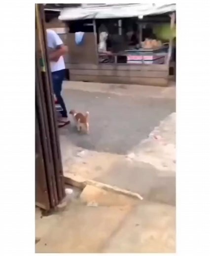 4.5K views · 222 reactions | Im a rider baby | Kitty 1st | Facebook