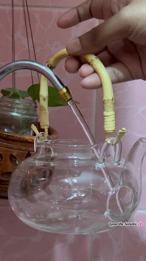 20K views · 219 reactions | Masala Tea  is there any other name of this emotion?? Transparent heat resistant kettle from : Magnificent ❤️ floral tray: Craft Panda #tea #kettle #transparentkettle #rawtea #masalatea | Luna: The Lunatic | Facebook