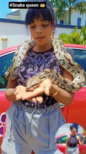 #snake queen 👑