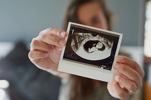 Quelles sont les grandes étapes du développement du foetus ?