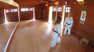 14 reactions | 藍winding knife hand block today during zoom-LC | Shotokan Path | Facebook