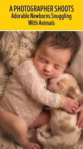 145K views · 1.6K reactions | A Photographer Shoots Adorable Newborns Snuggling With Animals | Bright Side | Facebook