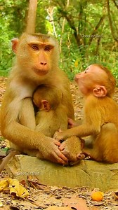 Aah what's Angela asking Libby to do! Does Angela ask for milk? | Good Or Bad