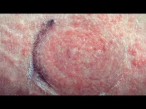 Are Shampoos and Moisturisers Bad for Your Skin? | BBC Earth Science