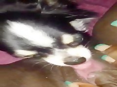 OL Project Little Redhead