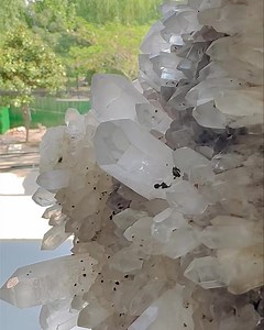 Clear quartz cluster specimen in the shape of a petal👍😍 #crystal #mineral | SD Crystal
