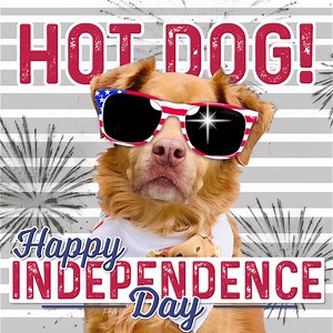 1.5K views · 75 reactions | Have a safe & happy 4th of July! 裡 | JenniferMaker.com | Facebook