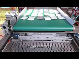 Automatic Pouch Loader For Retort Process