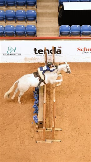 Going hard in the Paint💥 #markedforgreatness | #paintworld2024 | Official American Paint Horse Association