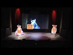 Puppetry of the Penis - Adelaide Fringe Festival