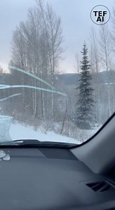 13K views · 69 reactions | Dash Cam Captures Moose Charging Car on...