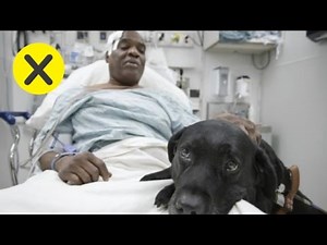 10 Animals That Saved Human Lives