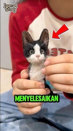 🥰Love Doll for Two Cats