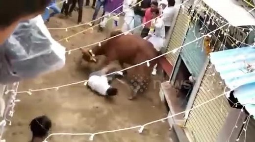 Shocking moment angry bull attacks man and tries to crush him in northwestern India