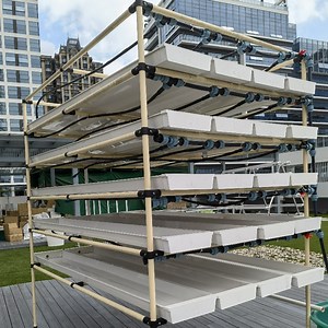 [Hot Item] Fodder Trays Barley Hydroponic Growing Tray Goats Grass