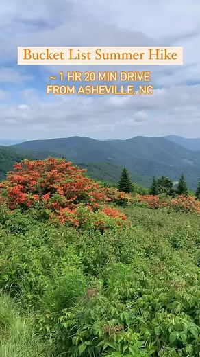 48K views · 202 reactions | Wander through one of the most scenic...