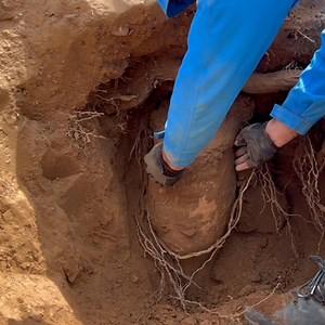 132K views · 1.9K reactions | #treasurehunting #treasure #metaldetecting | Ghost of atlantis | Facebook