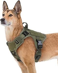 rabbitgoo Tactical Dog Harness Medium Sized, Heavy Duty Pet Harness with Handle, No-Pull Service Vest Medium Breed, Adjustable Military Dog Vest for Training Hunting Walking, Green, M