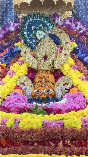 आपके ही भरोसे है मेरे कान्हू 🙏🥰#newyear #2026 #khatushyam #radhakrishna #viral #trending #shorts