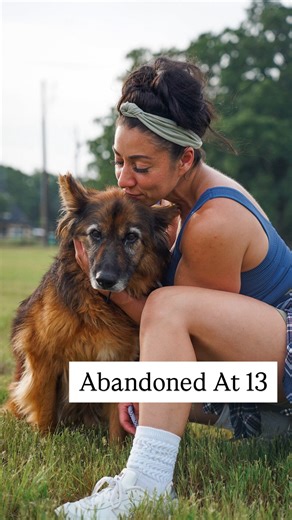 Stephanie Rodriguez on Instagram: "Sweet girl…take all of the time you need. We are in no rush here. We are your family if you want us to be. 💕🐶 Ember, a 13 year old female shepherd, was found as a stray in Dallas. When she was scanned, they found a microchip that was registered with a phone number🎉🎉 When the shelter called the family that she was registered to, they said they had no idea who that dog was and that the shelter had the wrong number 🤷🏻‍♀️ So Ember sat at the shelter waiting f