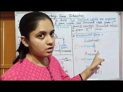 Complementary Gene Interaction