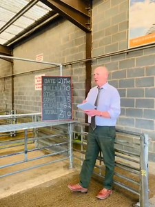 Selby Livestock Auction Mart on Reels