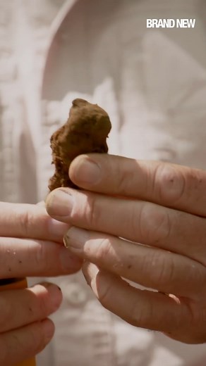 11K views · 102 reactions | This Brand New Season of 'The Curse of Oak Island' The Lagina brothers, Rick and Marty, attempt to uncover the mysteries of Oak Island, Nova Scotia. Catch 'The Curse of Oak Island' every Friday at 20h15 #TheHistoryChannel | HISTORY | Facebook