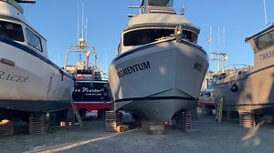 2.1K views · 47 reactions | Our kinda beauty pageant. ⚓ #homer #alaska | Wild Alaskan Company | Facebook