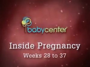31K views · 1.1K reactions | ¿Embarazada? Mira en este vídeo cómo se desarrolla un bebé dentro del vientre materno durante el último trimestre del embarazo. | BabyCenter en Español | Facebook