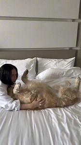 Save on a Getaway to the Heart of Denver's Iconic Cherry Creek North With Exclusive Offers & Packages at Hotel Clio. | Hotel Clio, a Luxury Collection Hotel, Denver Cherry Creek