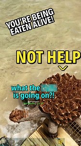 This game is AGAINST you, ALWAYS! Game: Ark: Survival Evolved #worstpremadeever #wpe #ark #arksurvival #arksurvivalevolved #gaming #gamingmoments #funnymoment #clips #reel #short | Worst Premade Ever