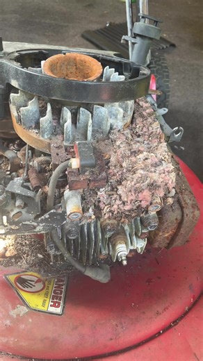 OlliesMowerMart on TikTok