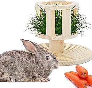Amazon.com : Rabbit Wooden Hay Feeder Food Rack Manger Raised Grass Bowl Holder with Grinding Claw for Bunny Chinchilla Guinea Pigs Small Animals : Pet Supplies